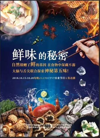 鲜味的秘密海报