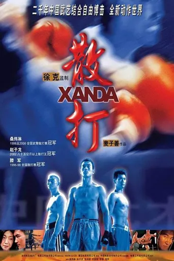散打海报