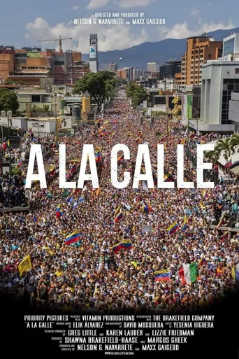 A La Calle海报