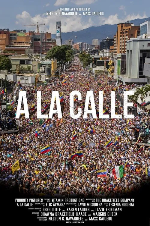 A La Calle海报