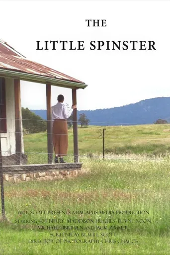 The Little Spinster海报