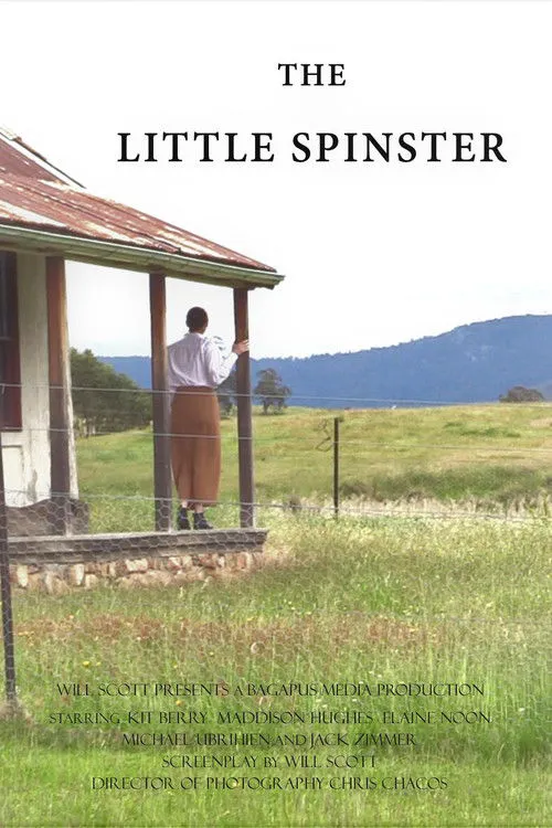 The Little Spinster海报