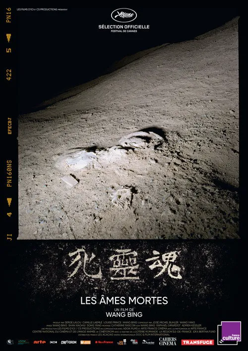 死灵魂海报