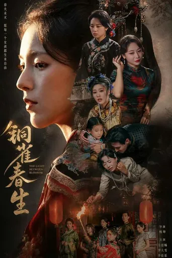 铜雀春生 第 1 季海报