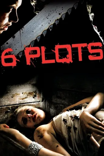 6 Plots海报