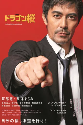 龙樱海报