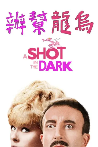 粉红豹系列：黑夜怪枪海报