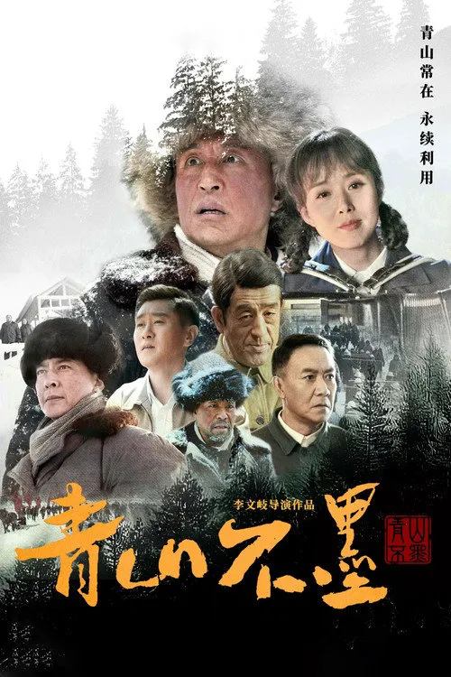 青山不墨海报