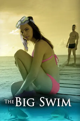 The Big Swim海报