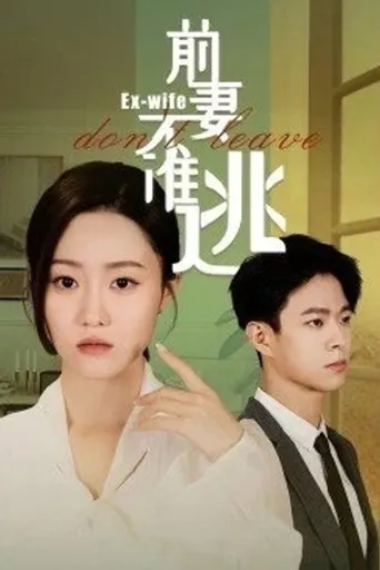前妻不准逃海报