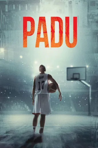 Padu海报