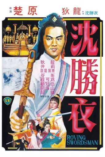 大侠沈胜衣海报