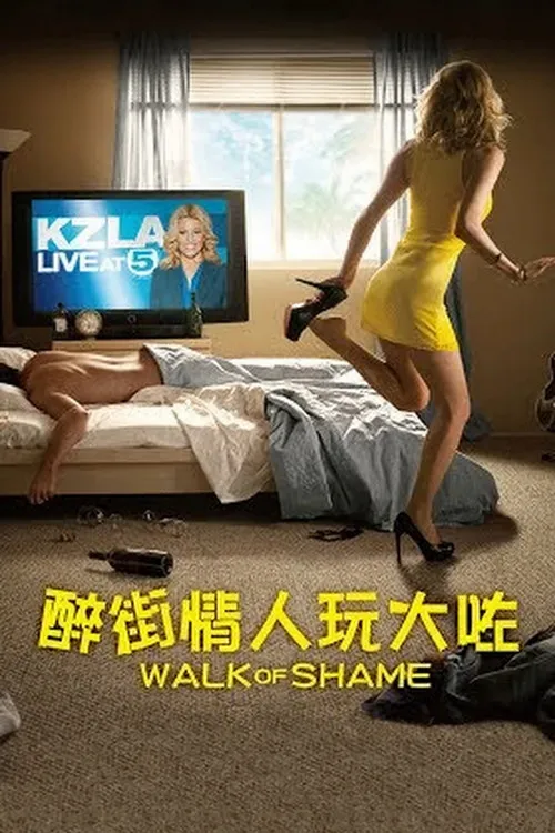 蒙羞之旅海报