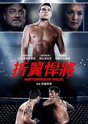 折翼悍將海报