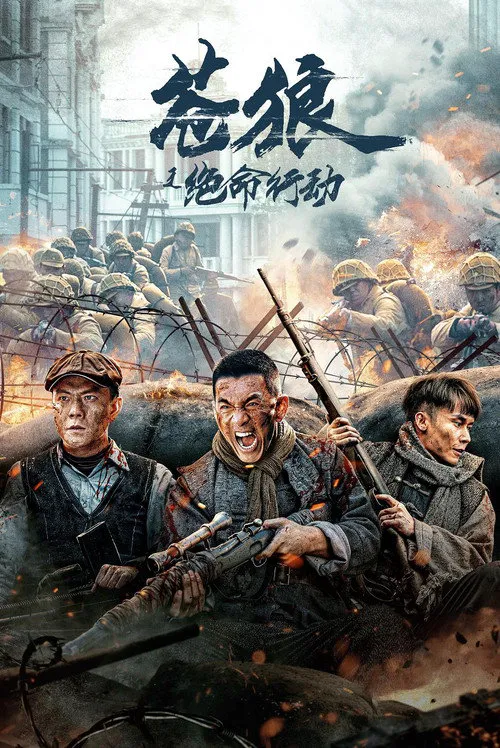 苍狼之绝命行动海报