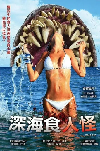 死海海报