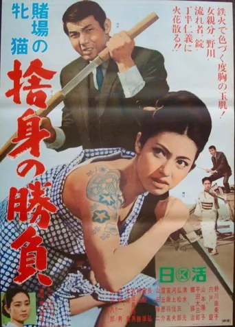 赌场的雌猫：舍身决胜负海报