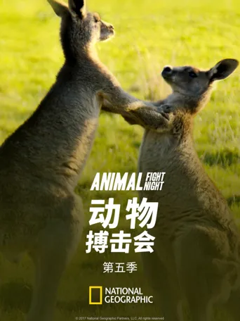 动物搏击会 第 5 季海报