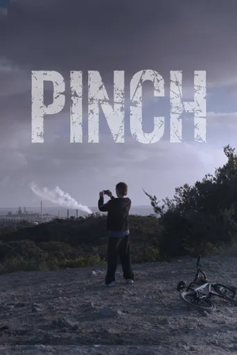 Pinch海报