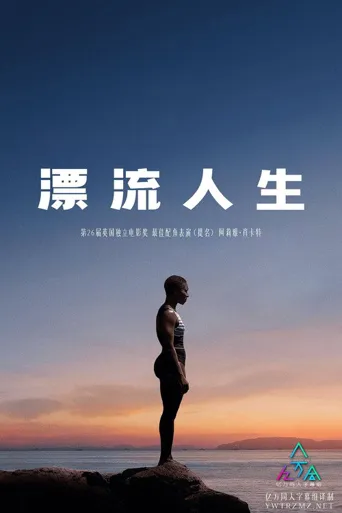 漂流人生海报