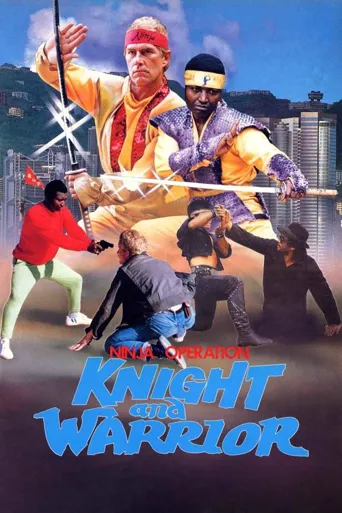 忍者太保之武士行海报