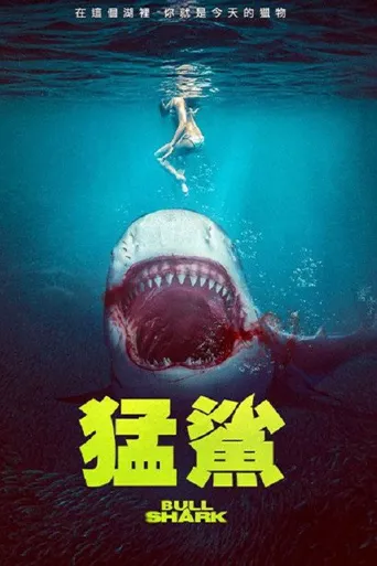 水中血海报