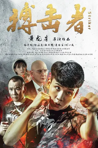 搏击者海报
