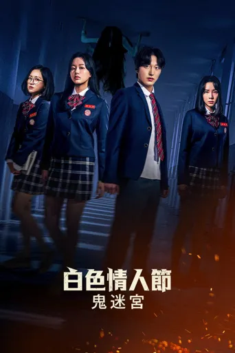 白色情人节：破碎的结界海报