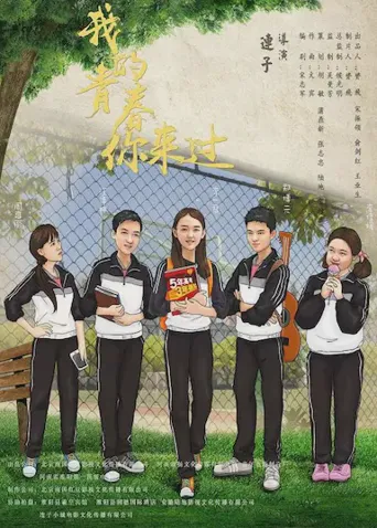 我的青春你来过海报