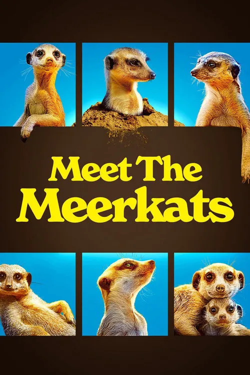 Meet The Meerkats 第 1 季海报