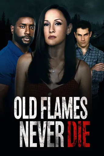 Old Flames Never Die海报