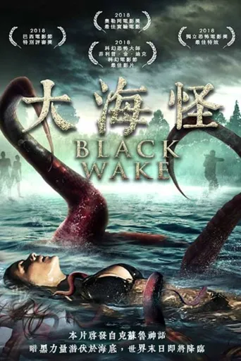 黑色尾流海报