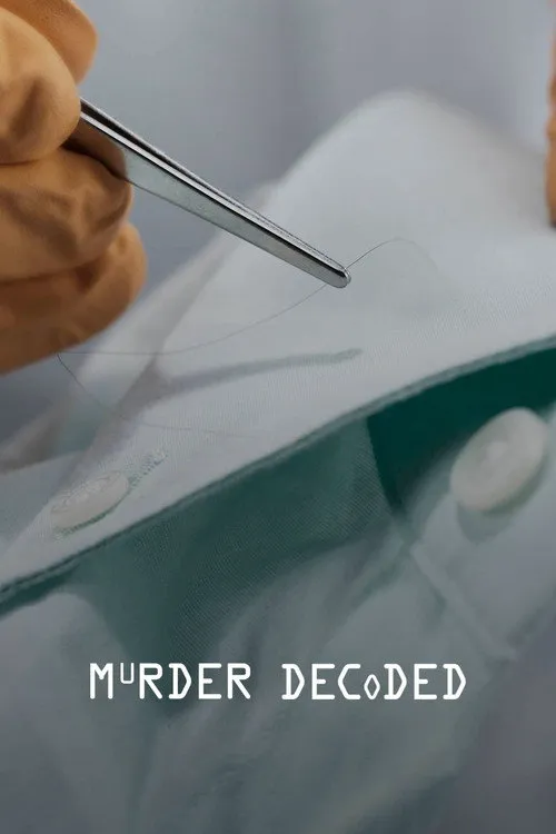 破案密码 第 1 季海报