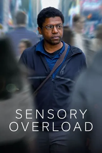 Sensory Overload海报