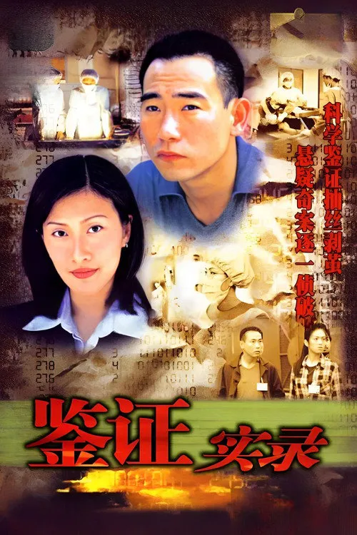 鉴证实录海报