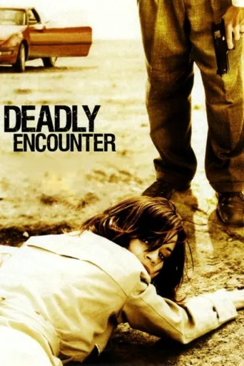Deadly Encounter海报