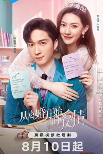从离婚开始的爱情海报