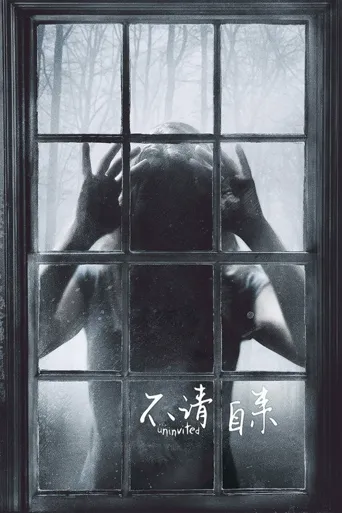 不请自来海报