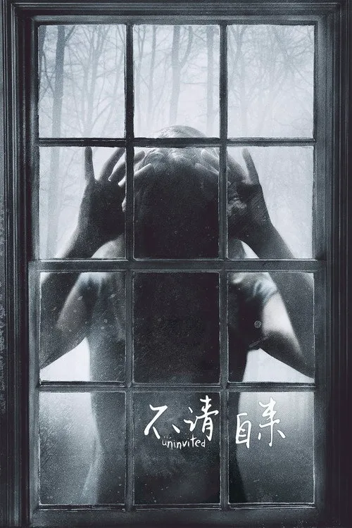 不请自来海报