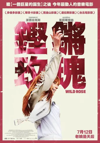 野玫瑰海报