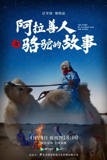 阿拉善人与骆驼的故事海报