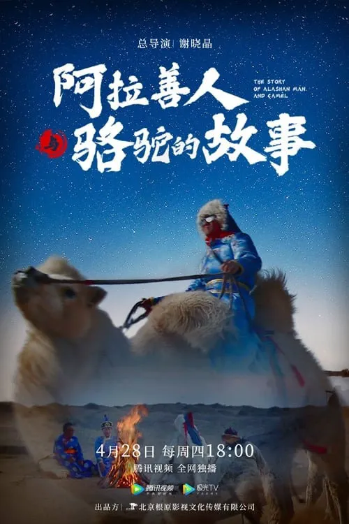 阿拉善人与骆驼的故事海报