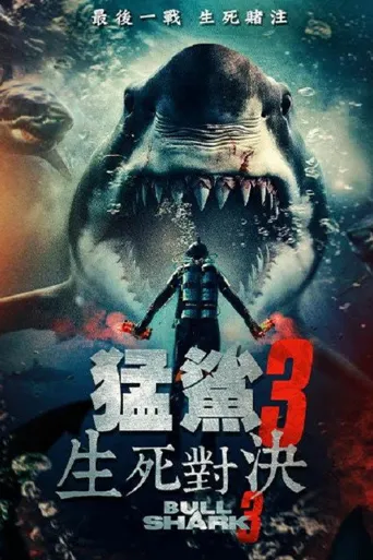 水中血3海报