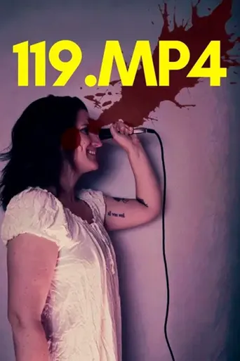 119.MP4海报