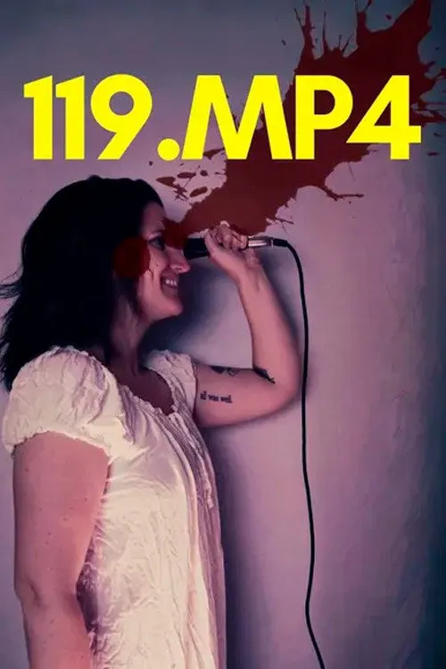 119.MP4海报