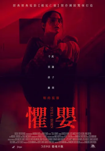 死产儿海报