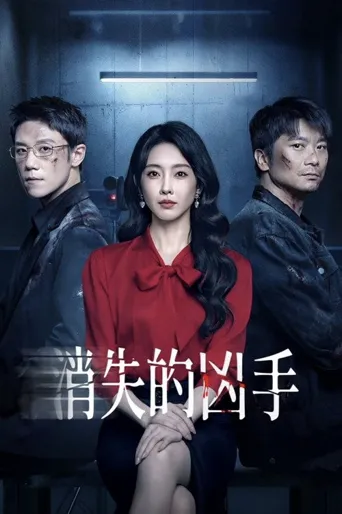 消失的凶手海报