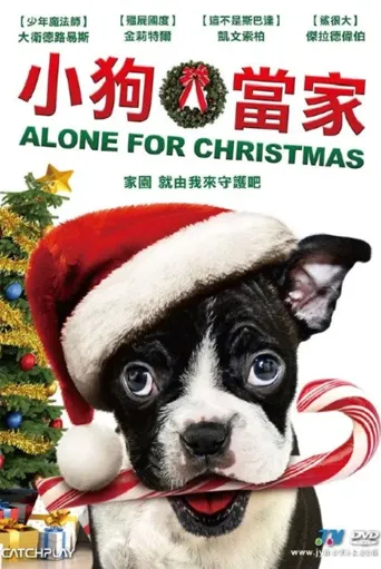 孤独的圣诞节海报