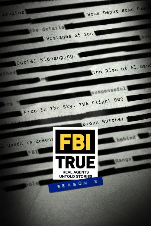 FBI TRUE 第 3 季海报