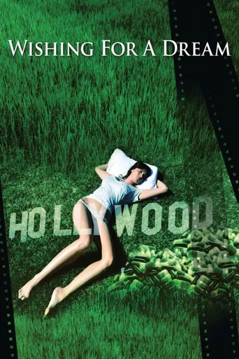 好莱坞求梦记海报